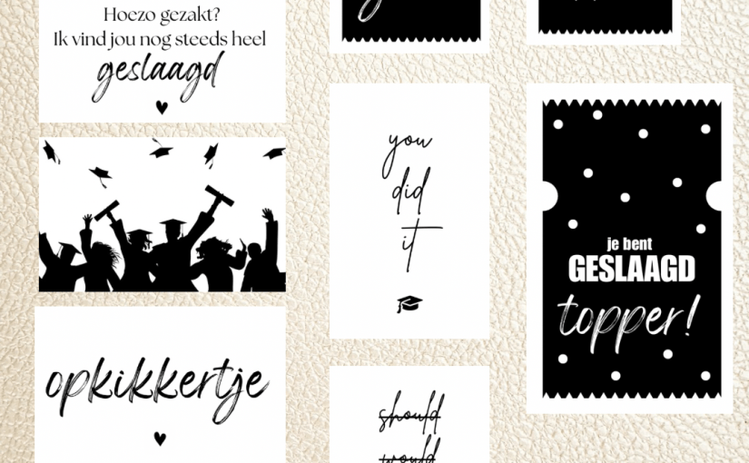 Freebie Friday #13&nbsp;EXAM